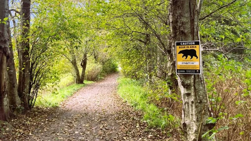 Police ask residents to stay alert following black bear sighting