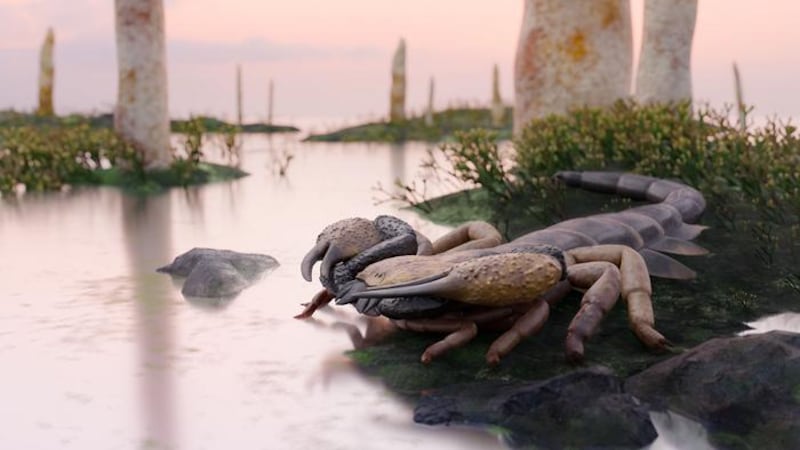 Apex predator scorpion crawled the Earth hundreds of millions of years ago
