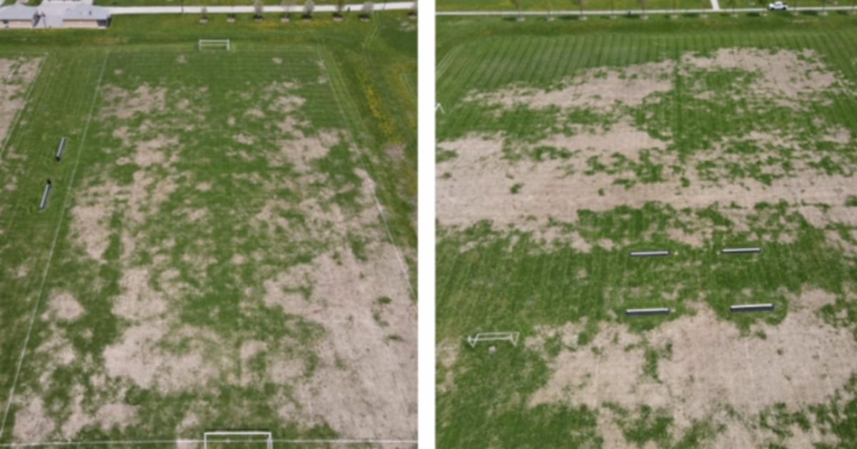 LaSalle approves $35K to combat grub infestation at Vollmer fields