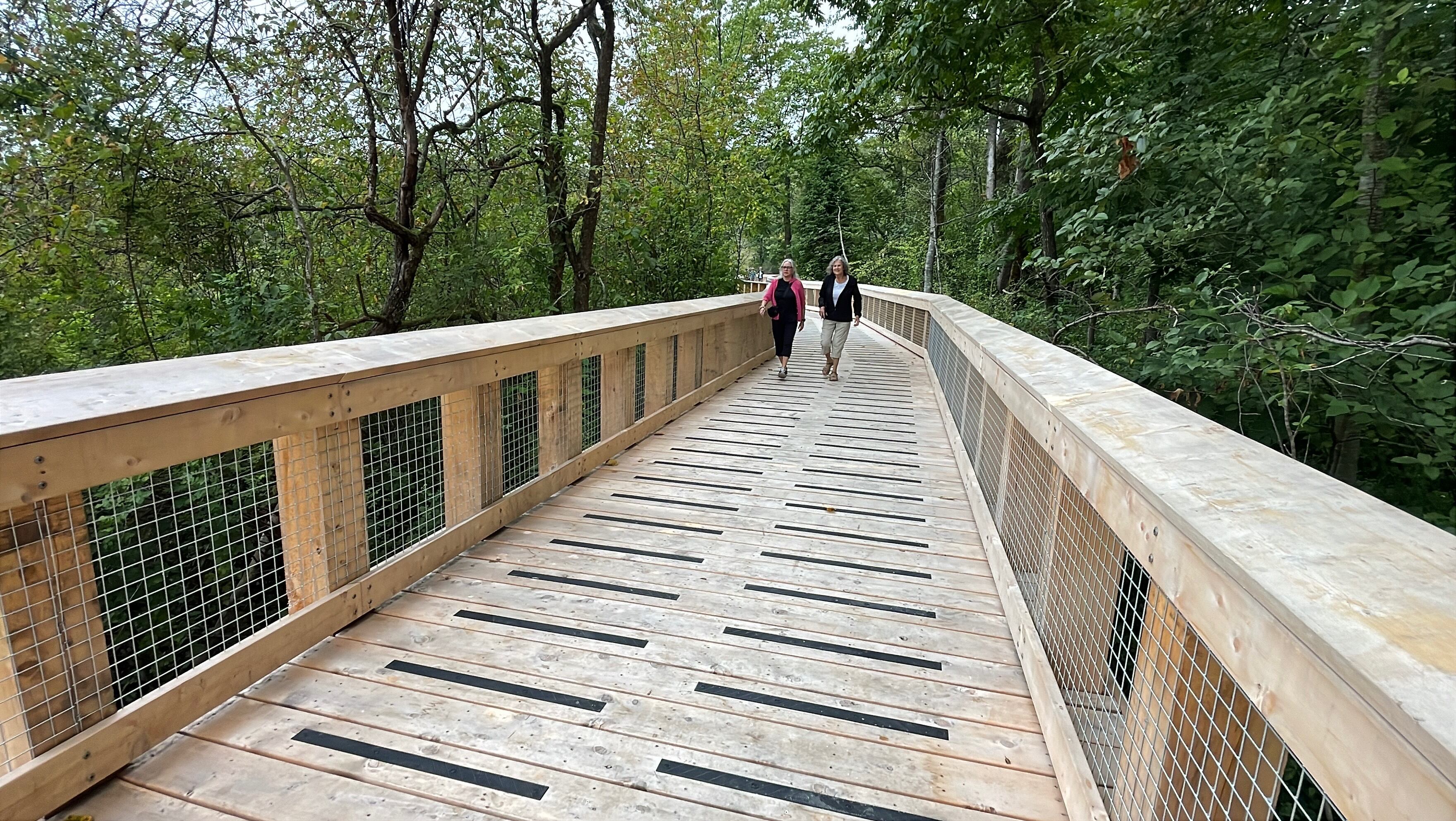 Shoreline Trail boardwalk