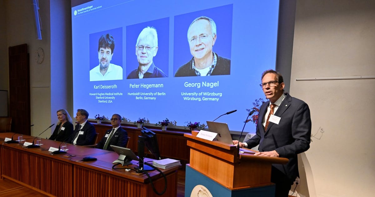 Nobel medicine prize goes to 3 scientists for research into brain activity - CTV News