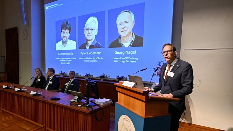 Nobel medicine prize goes to 3 scientists for research into brain activity