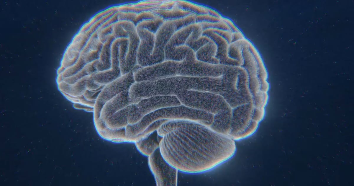 How a ‘tug-of-war’ in your brain helps you make risky decisions - CTV News