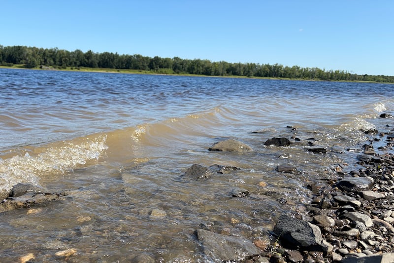 Advocates concerned as future uncertain for N.B. Environmental Trust Fund