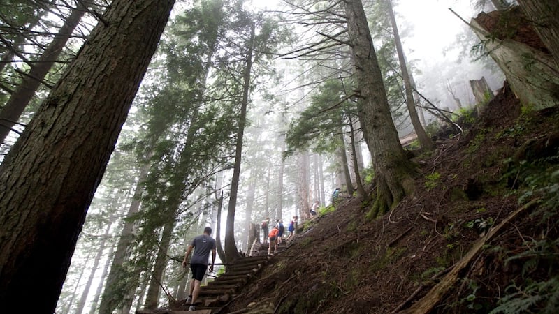 Grouse Grind Trail reopens for the season