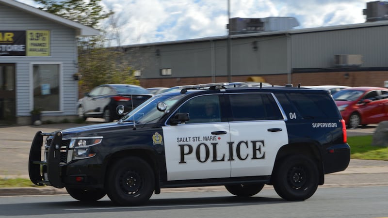 Sault teen faces assault, threat charges after argument escalated