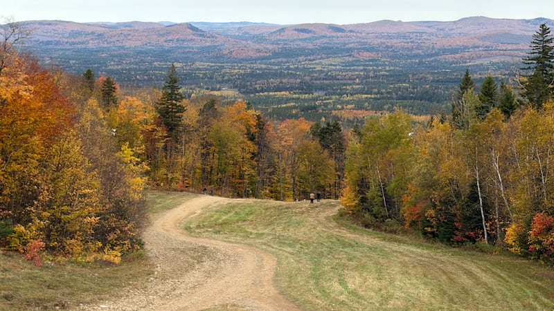IN PICTURES: Fall Festival of Colours at Crabbe Mountain