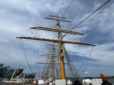 The Gorch Fock is pictured in Halifax on August 2, 2026. (Callum Smith/CTV Atlantic)