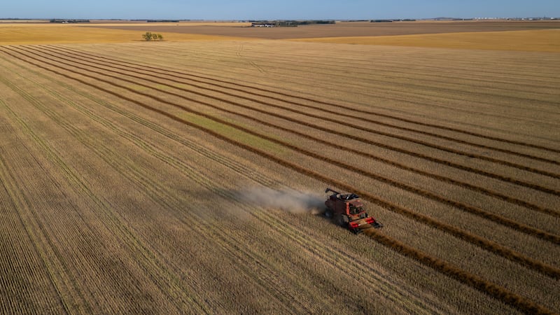 Sask. outlook remains positive despite recession concerns: economist