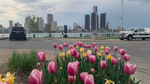 Warm and wild: Windsor-Essex faces showers, thunderstorms, and gusty winds