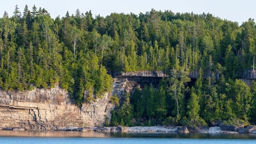 Popular Ontario campground closed over increased bear activity