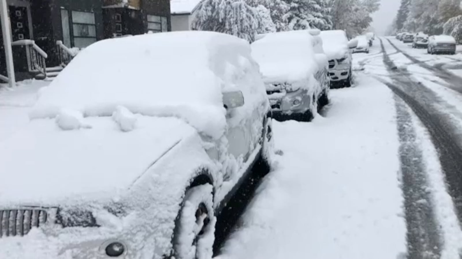 Snow In Calgary Snow warning ends as Calgary digs out from first snowfall of season