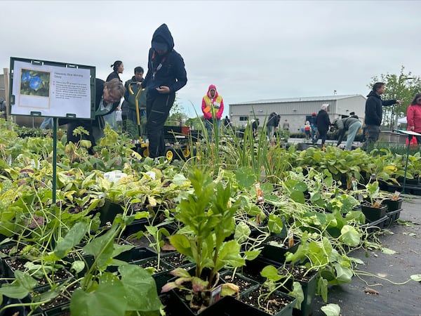 Attention green thumbs: Windsor hosting plant sale this weekend