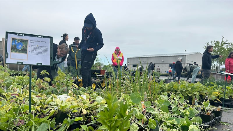 Attention green thumbs: Windsor hosting plant sale this weekend