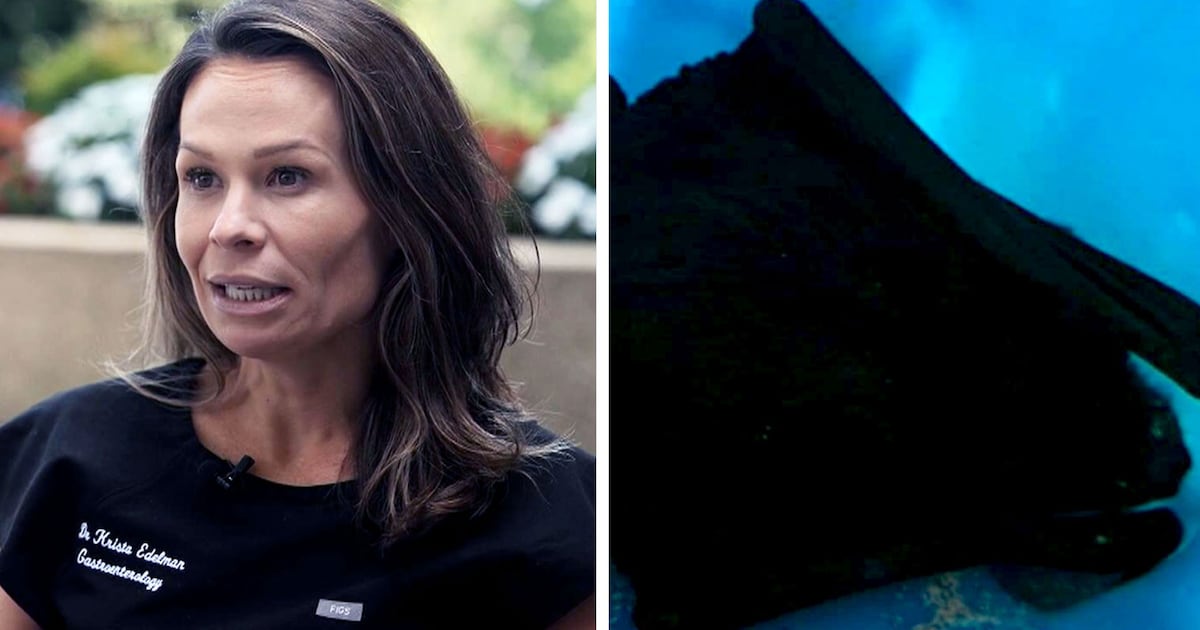 Photo: ctvnews.ca Dr. Krista Feldman says she woke up to discover a bat trying to
