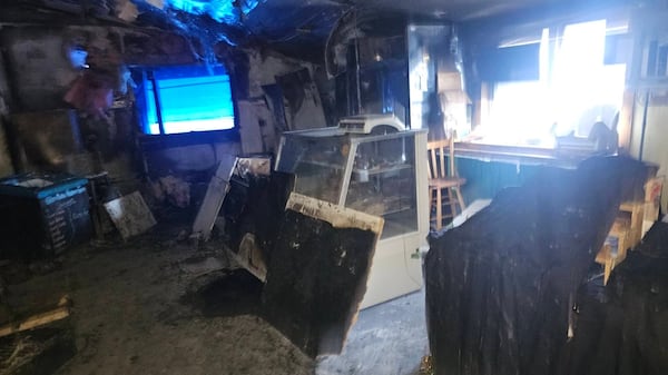 ‘An extensive project’: Charlottetown Farmers’ Market bouncing back after devastating fire