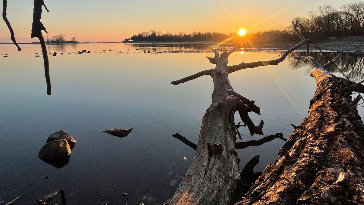 Kitchener: Local News, Weather & Traffic Updates