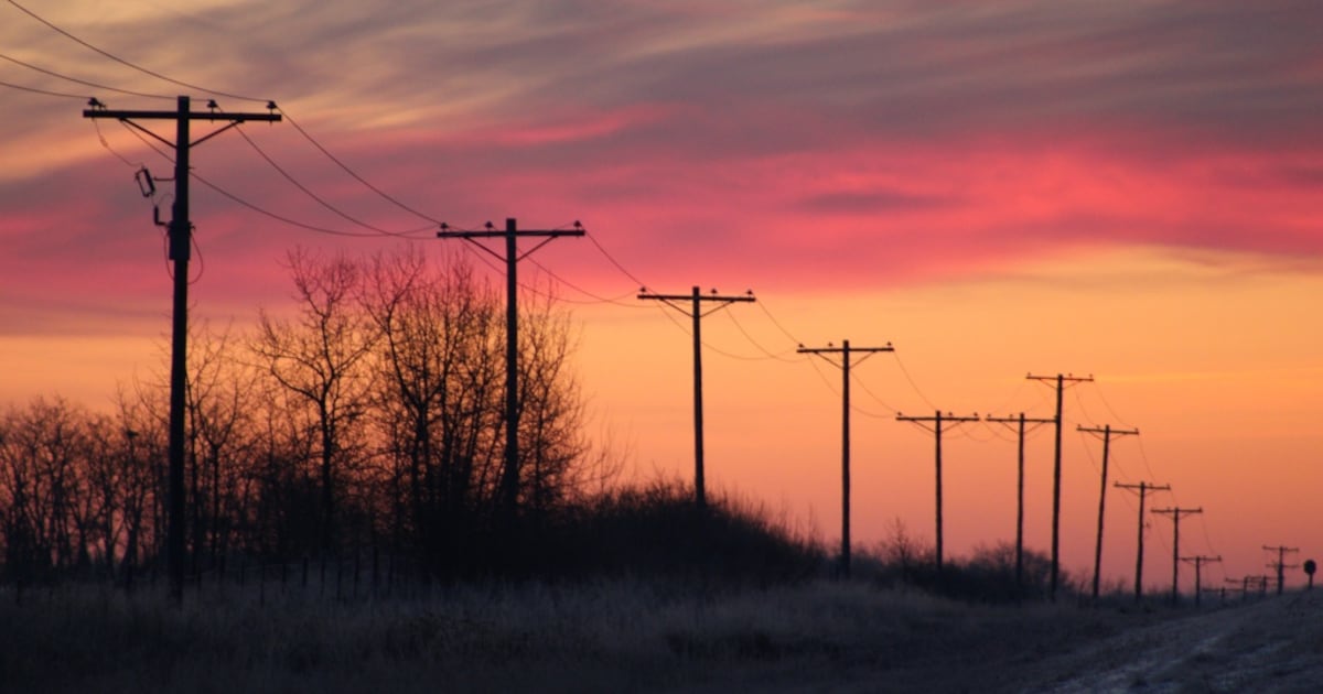 SaskPower reports rise in power line, pole strikes for 2025