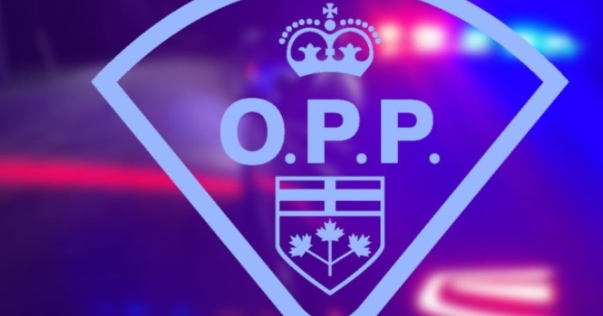 Youths in stolen car hit pedestrian before being captured in Huntsville, Ont.