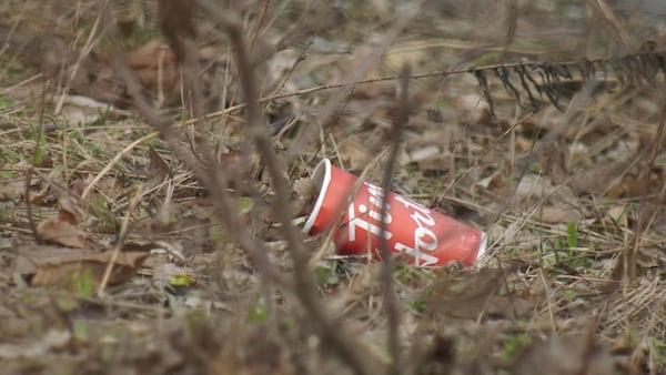 ‘We’re seeing a lot of garbage surface’: City asks residents to take part in ‘Clean and Green Campaign’