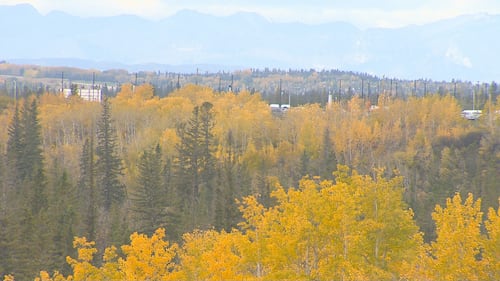 Fall colours in Calgary, as seen on Oct. 2, 2026