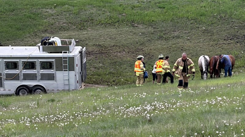Horses uninjured after trailer winds up in ditch on Anthony Henday Drive