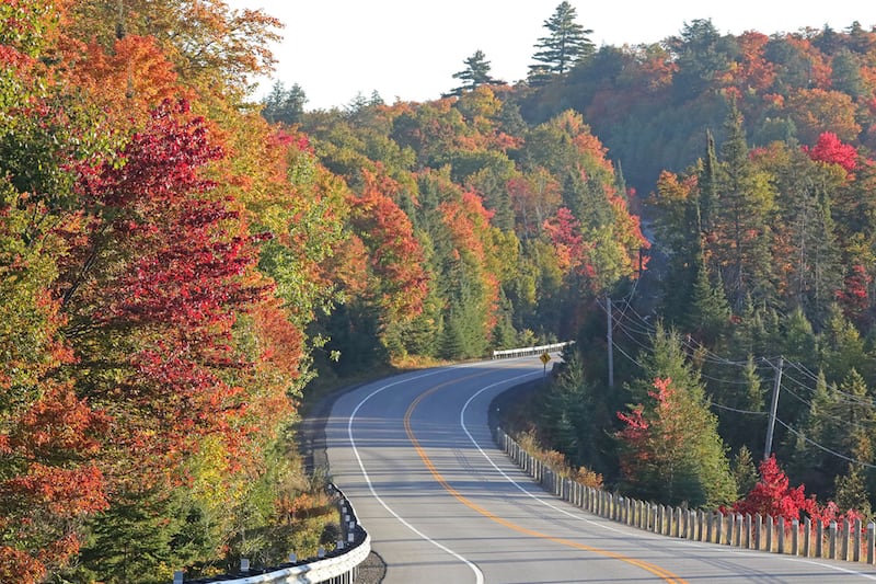 This Ontario park’s fall colours are exploding right now. Here’s when to see them at their peak