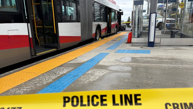 80-year-old woman hit by Calgary Transit bus suffers serious injuries: police