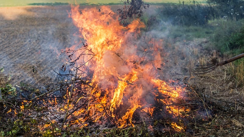 What you need to know about open burning and yard waste disposal in Windsor