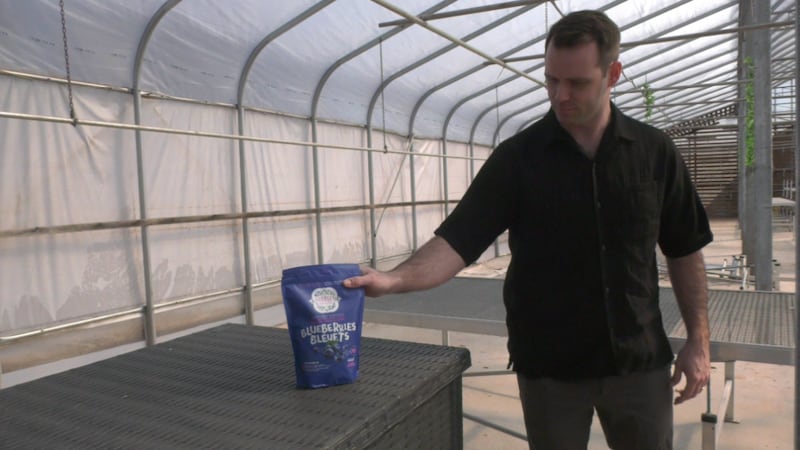 P.E.I. exporters look to Asia for new sales