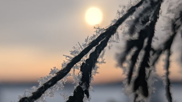 Not quite a winter wonderland as special weather statement continues