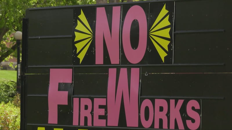 ‘I don’t think there’s a right answer here’: Victoria Day lights up debate over fireworks bans across Waterloo Region