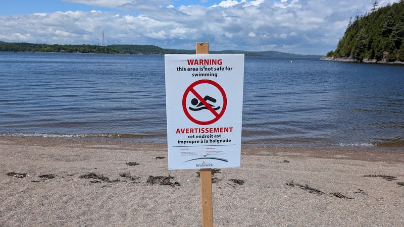 High samples of E. coli put a pause on swimming at 3 Saint John beaches