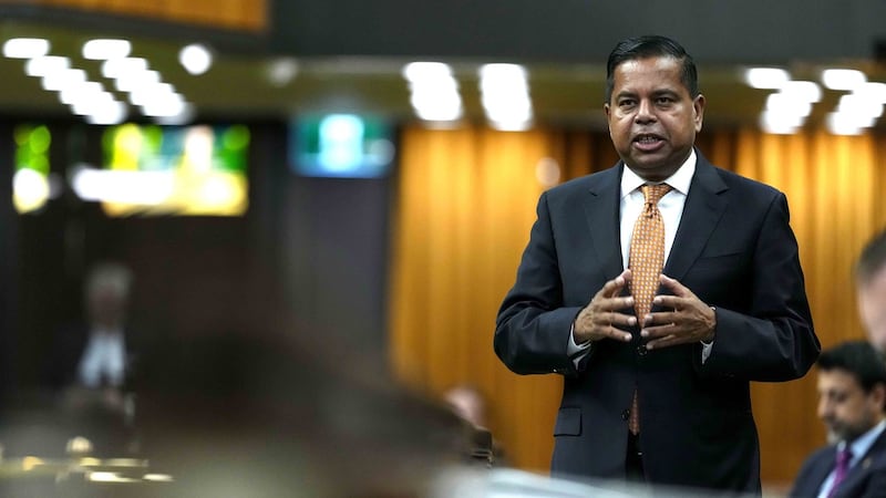 Security screening mostly 'unimpeachable' but 'there are gaps': Anandasangaree