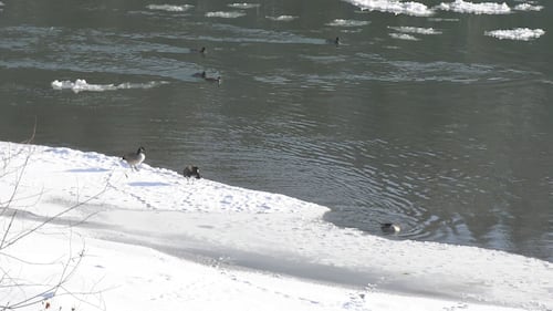 North Saskatchewan River in Edmonton, Alta. on Nov. 28, 2025. (Sean McClune/CTV News Edmonton)
