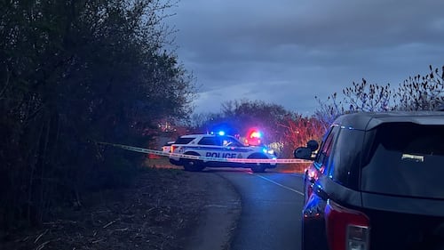 Two-year-old dies after Ottawa River rescue: police