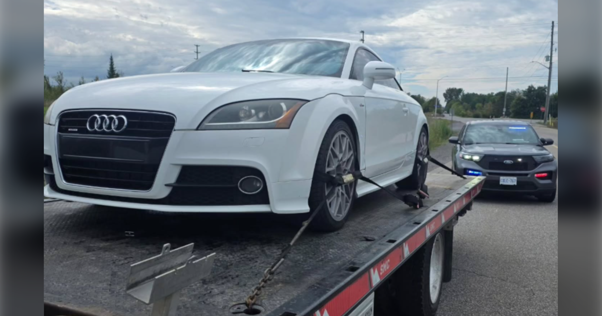 Ottawa driver stopped for stunt driving 4 days after buying car - CTV News