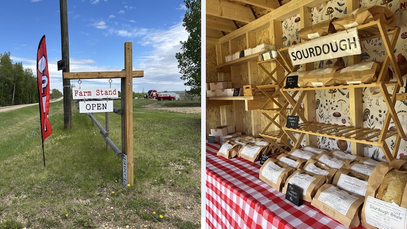 Get farm-fresh food in Strathcona County right from the source
