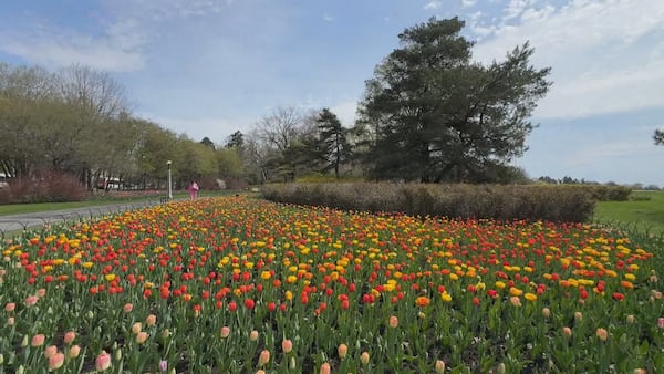 Warm weather, sunny skies and a bit of rain in the forecast for Ottawa on May Long Weekend