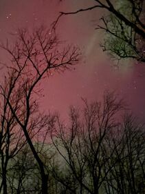 The northern lights are seen in Whites Cove, N.B., on Nov. 11, 2025. (Submitted: Jennifer McPhail)