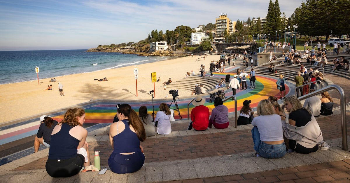 Drones spot sharks 73 times in two days off Sydney beaches