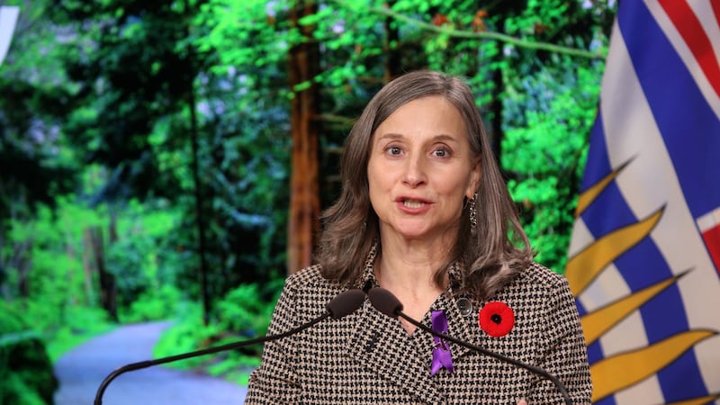 Former chief coroner Lisa Lapointe to run for B.C. Greens in provincial vote