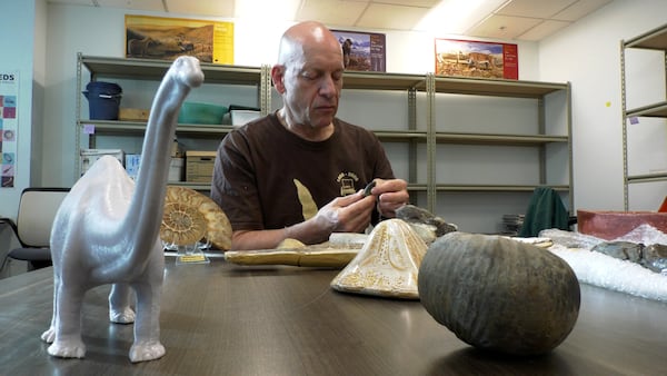 Paleontologists gearing up for 29th annual Paleo event at Mount Royal University