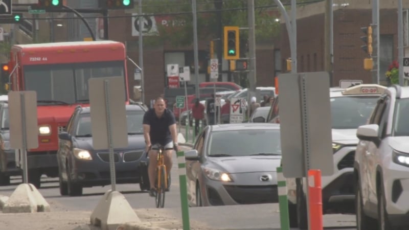 ‘Bike buses’ share roads with vehicle traffic to demonstrate life without bike lanes