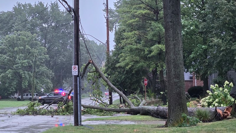 Windsor offering post-storm tree cleanup support after over 400 requests for service