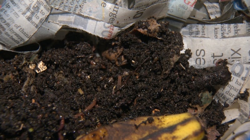 How to get compost for free in Edmonton
