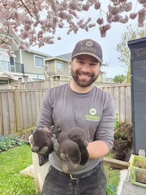Baby river otter removal