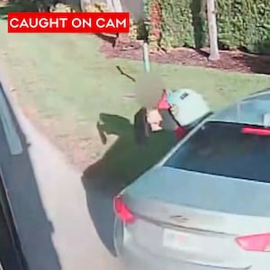Terrifying moment of impact as teenager hit by vehicle while boarding school bus