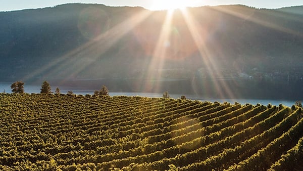 UNESCO names Kelowna as Canada’s first Creative City of Gastronomy