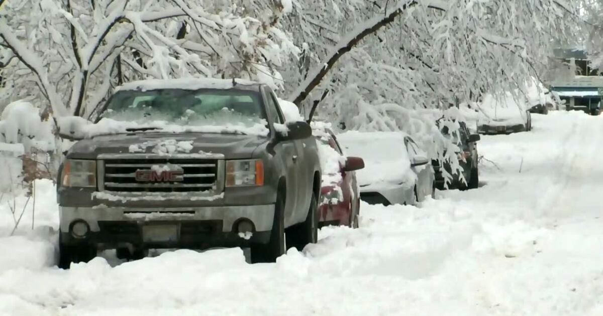 Environment Canada Winnipeg Could See Up To 25 Cm Of Snow This Week Environment canada winnipeg could see up to 25 cm of snow this week